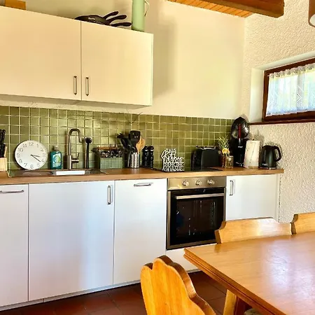 Regeneration Bayerischer Wald *