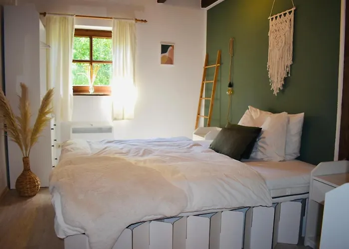 Dom wakacyjny Regeneration Bayerischer Wald *