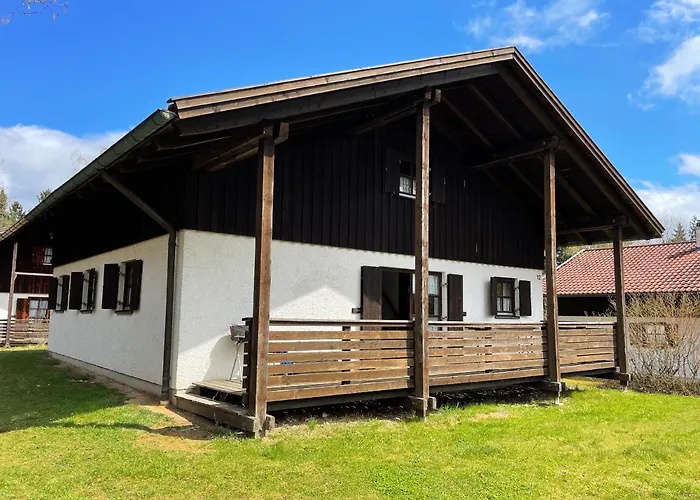 Regeneration Bayerischer Wald *