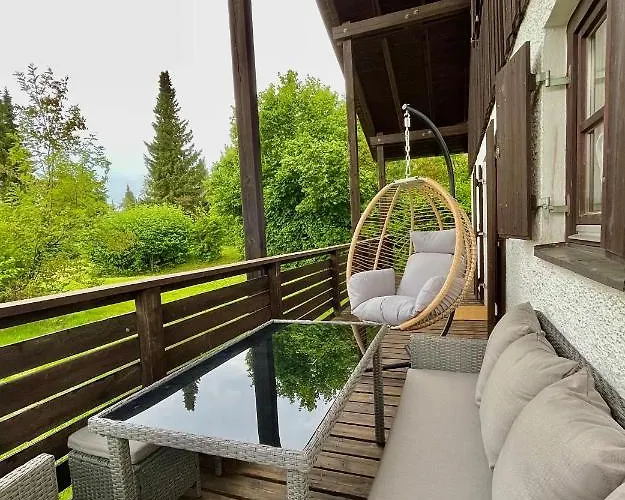Regeneration Bayerischer Wald