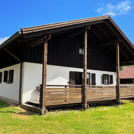 Regeneration Bayerischer Wald *